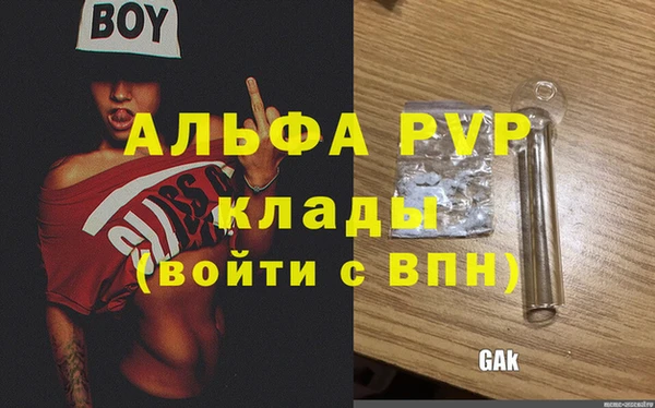 apvp Алексин