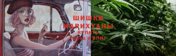 apvp Алексин