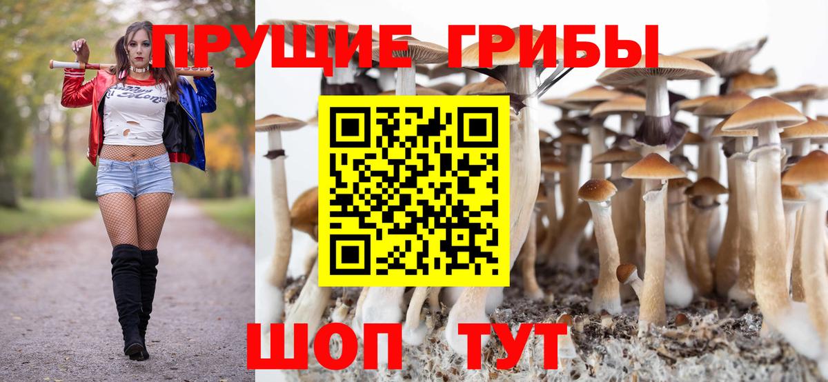 Галлюциногенные грибы Psilocybine cubensis Удомля