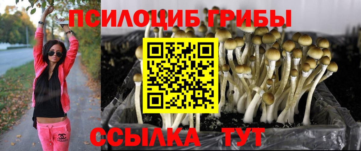 Галлюциногенные грибы Magic Shrooms  Вход с VPN  Удомля 