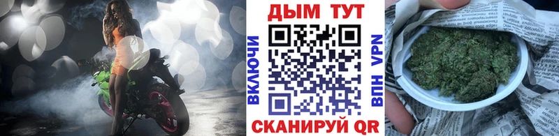 дарнет шоп  Удомля  Бошки марихуана тримм 